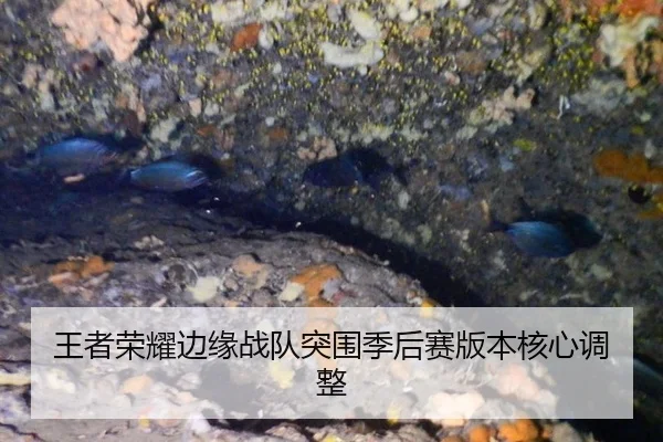 王者荣耀边缘战队突围季后赛版本核心调整