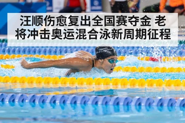汪顺伤愈复出全国赛夺金 老将冲击奥运混合泳新周期征程